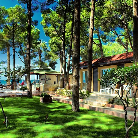 Complex Omer Kusadası